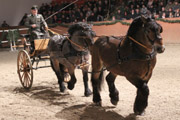 Fred Schicketanz mit Louis (hinten) und Amethyst von Wernstedt. 